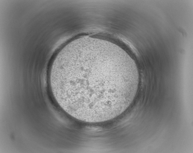 X0000115060582200911231216