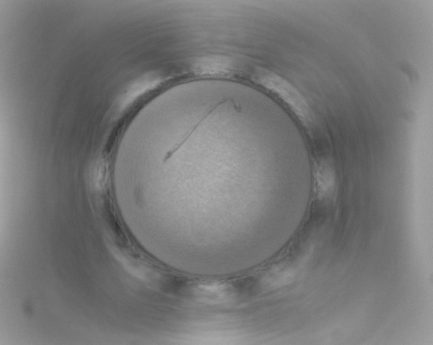 X0000115060583200911231216