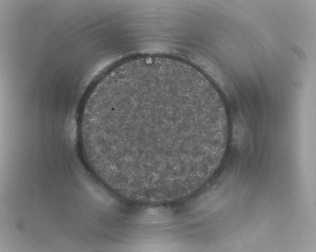 X0000115060584200911231216