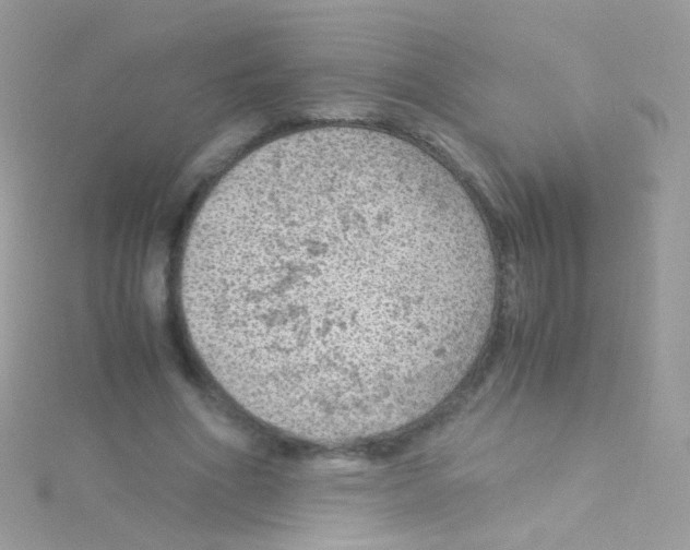 X0000115060586200911231216