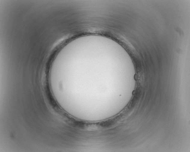 X0000115060587200911231216