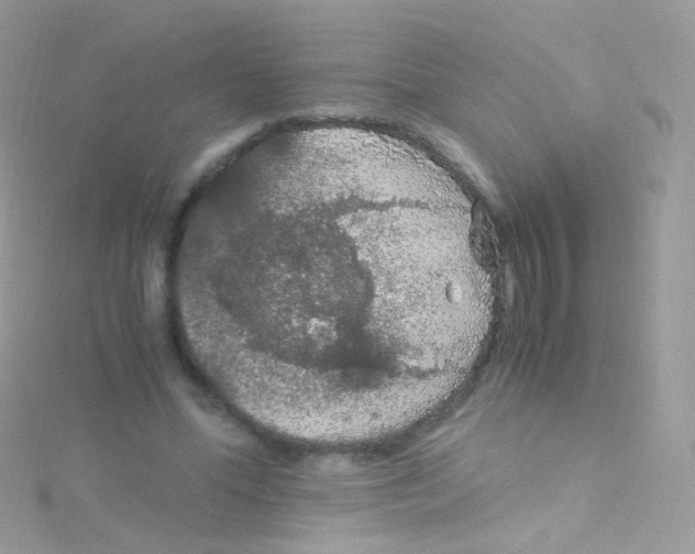 X0000115060588200911231216