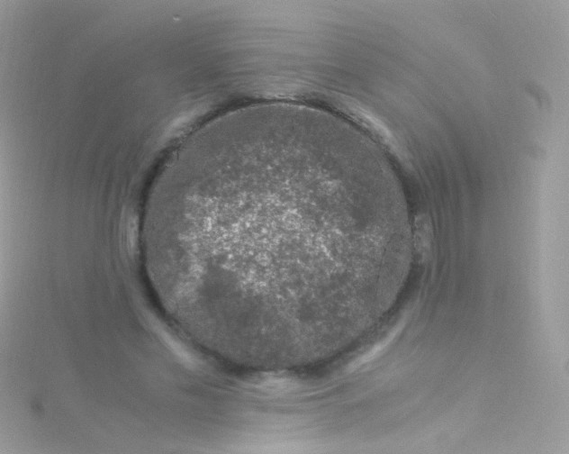 X0000115060589200911231216