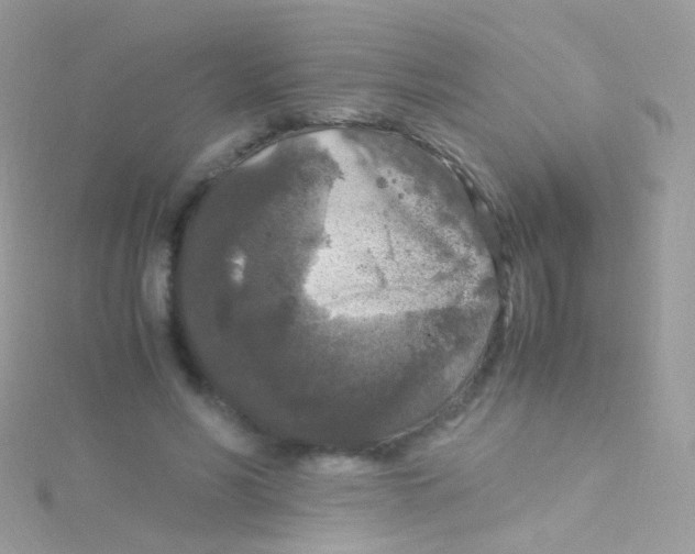 X0000115060590200911231216