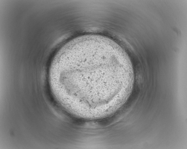 X0000115060591200911231216