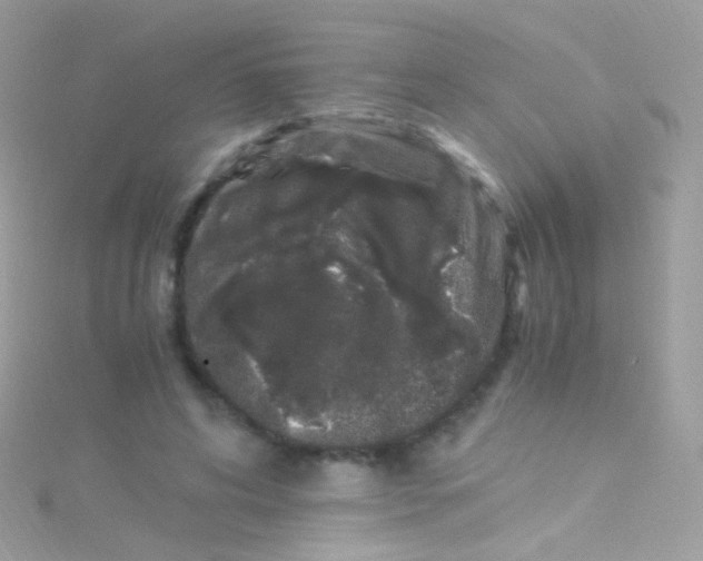 X0000115060592200911231216