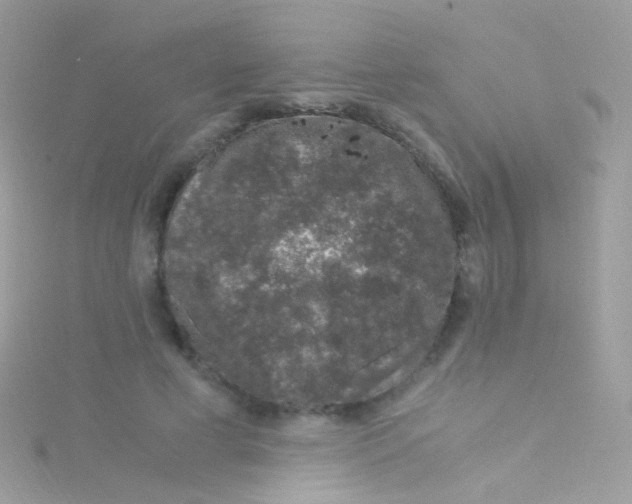 X0000115060593200911231216