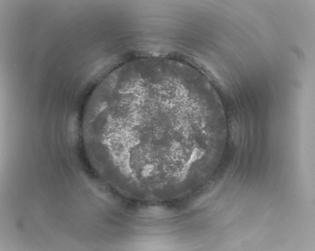 X0000115060594200911231216