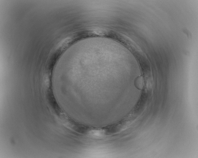 X0000115060595200911231216