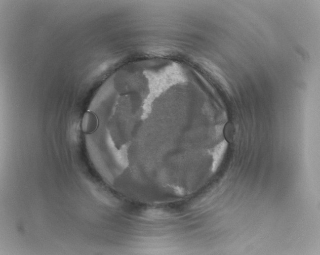 X0000115060596200911231216