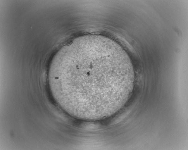 X0000115060597200911231216