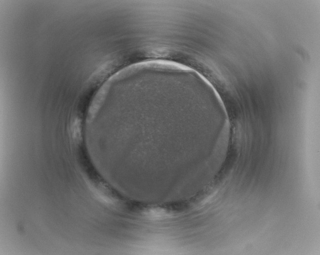 X0000115060598200911231216