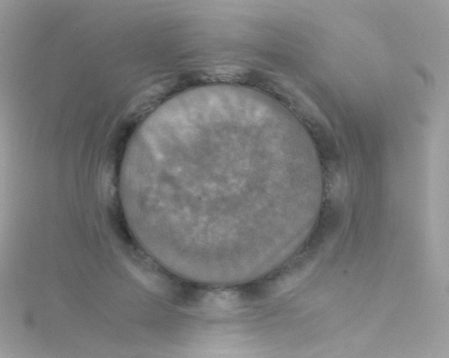 X0000115060599200911231216