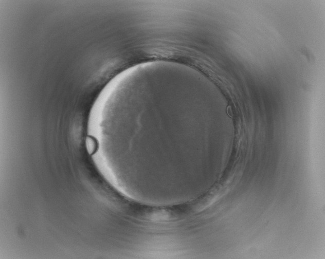 X0000115060600200911231216