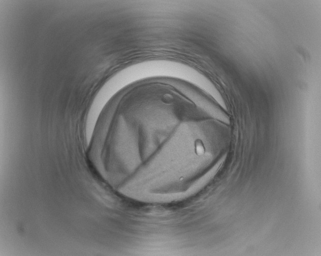 X0000115060601200911231216