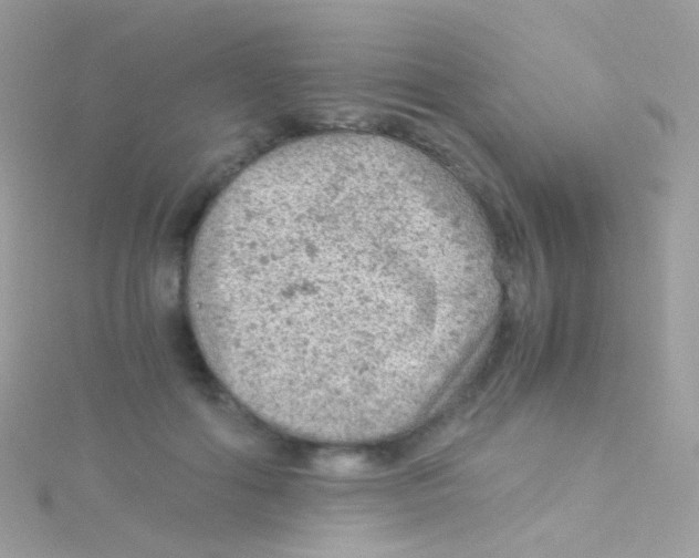 X0000115060602200911231216