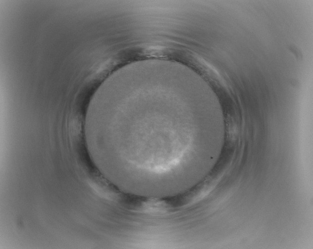 X0000115060603200911231216