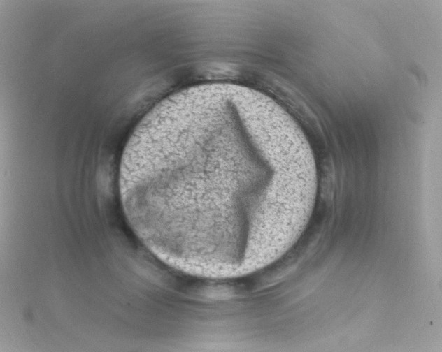 X0000115060604200911231216