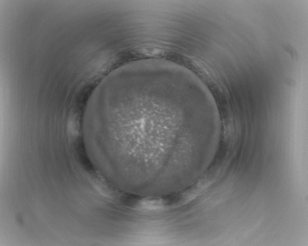 X0000115060606200911231216