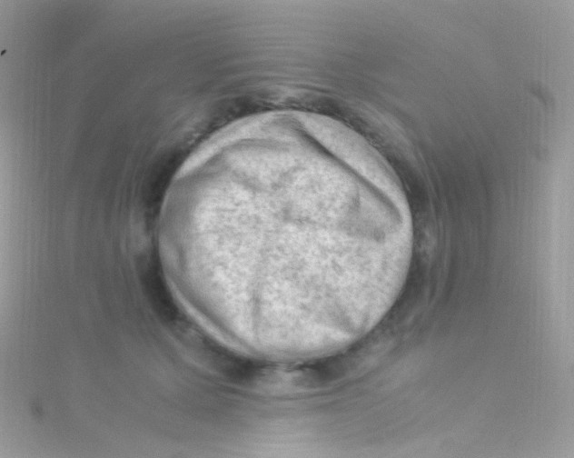 X0000115060607200911231216