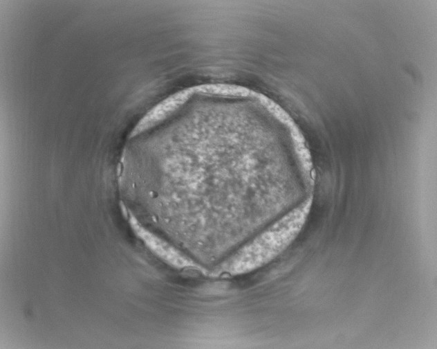 X0000115060609200911231216