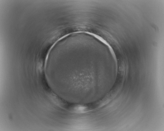 X0000115060610200911231216