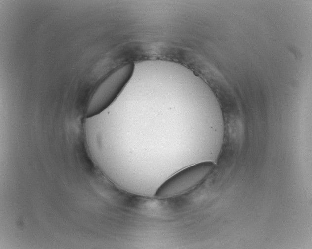 X0000115060611200911231216