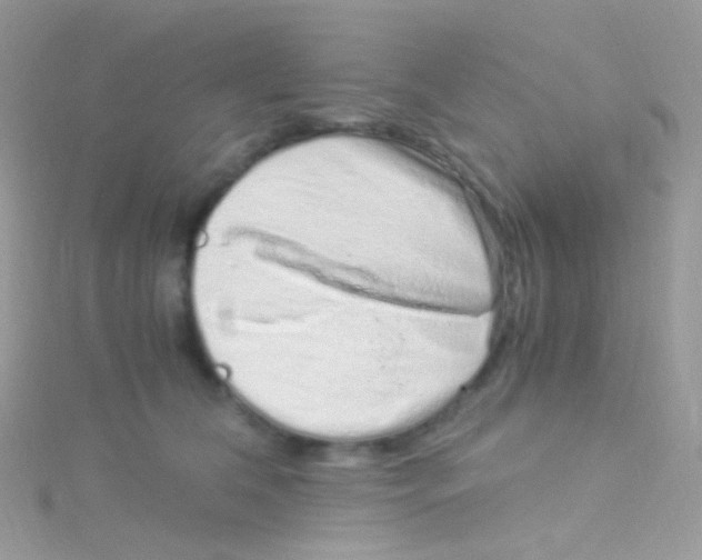 X0000115060612200911231216