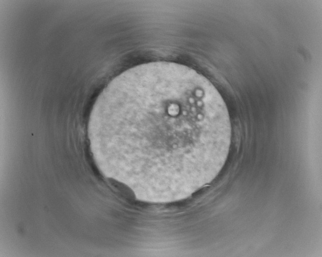 X0000115060613200911231216