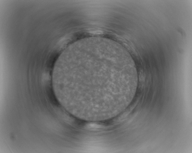 X0000115060614200911231216