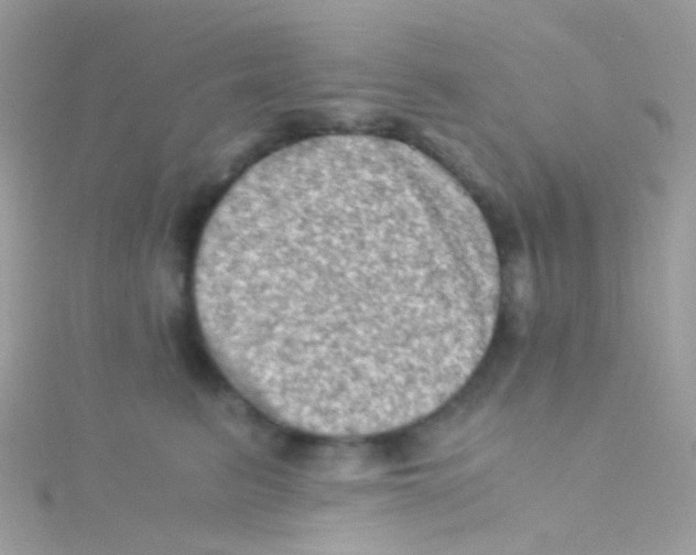 X0000115060615200911231216