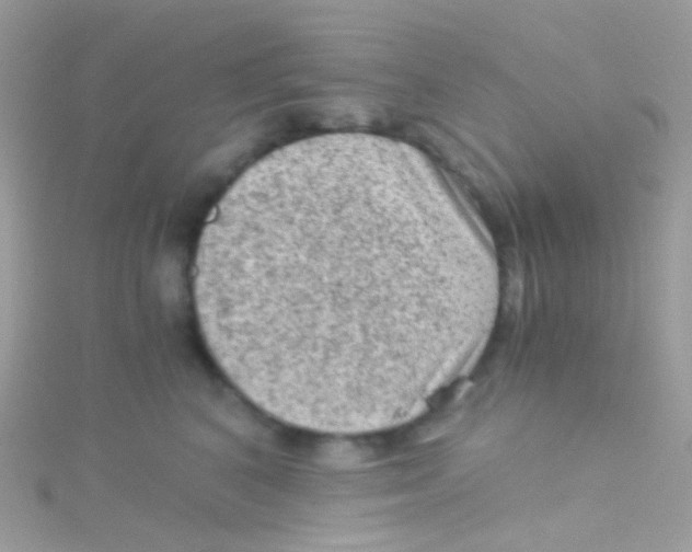 X0000115060616200911231216