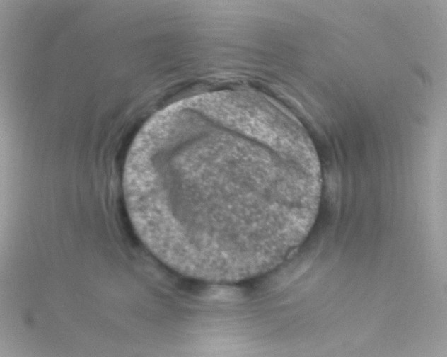 X0000115060617200911231216