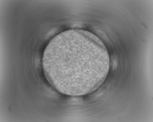 X0000115060619200911231216