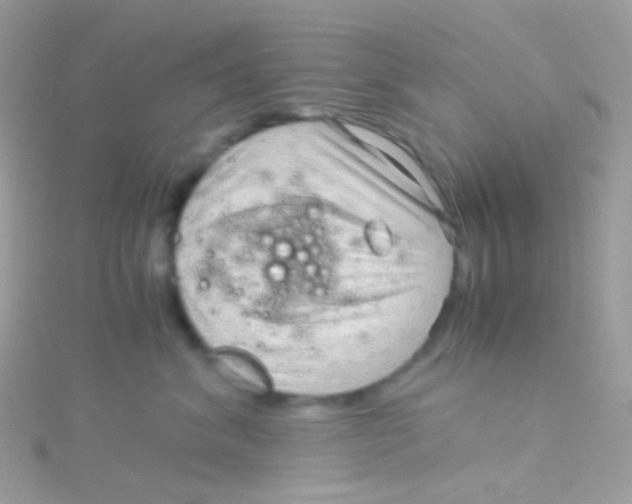 X0000115060620200911231216