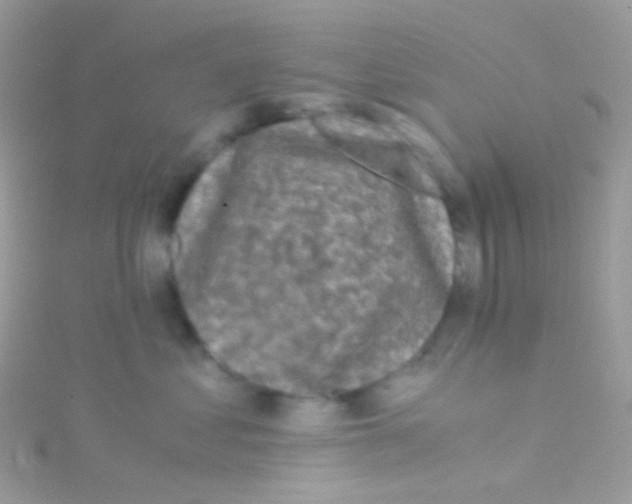 X0000115060621200911231216