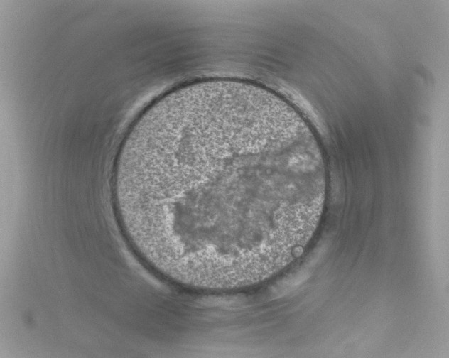 X0000115060625200911231215