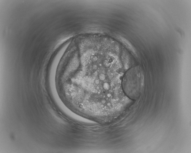 X0000115060627200911231215