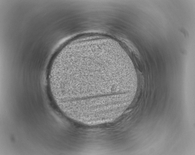 X0000115060628200911231215