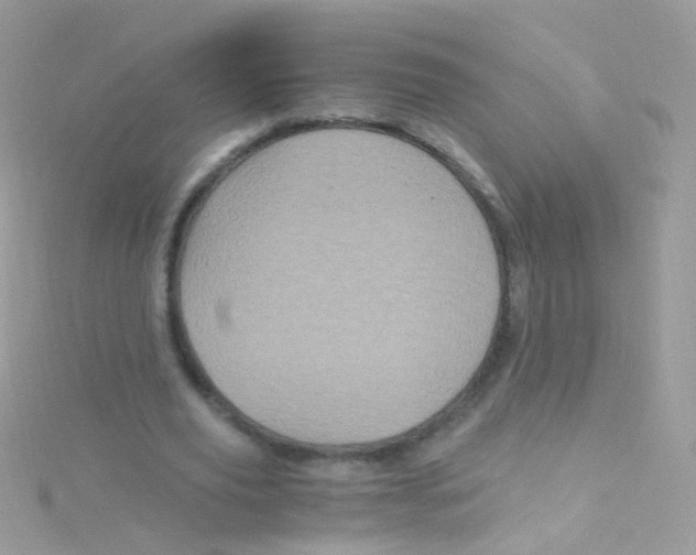 X0000115060629200911231215