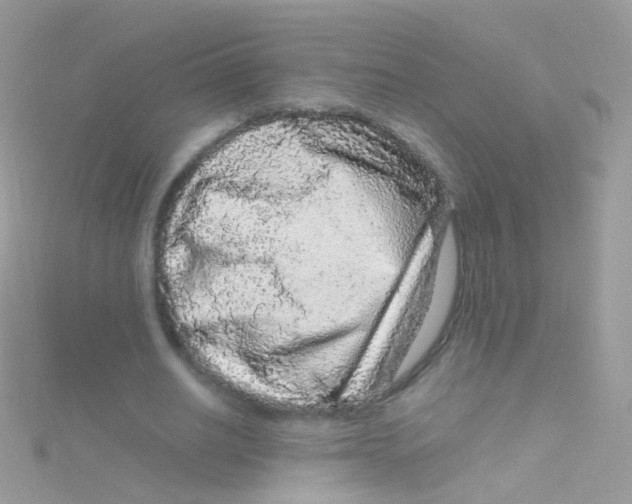 X0000115060630200911231215