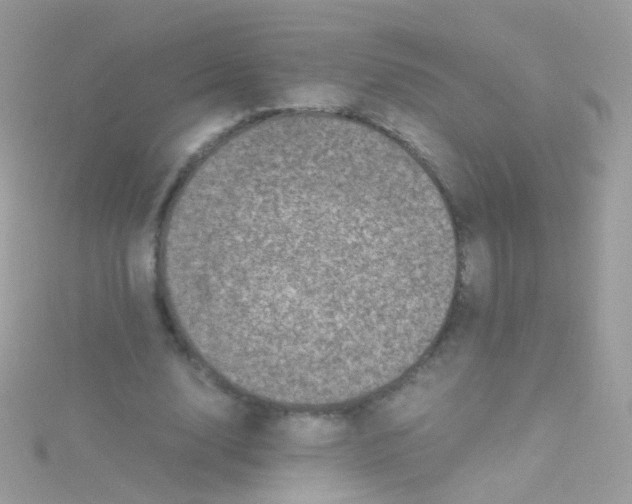 X0000115060632200911231215