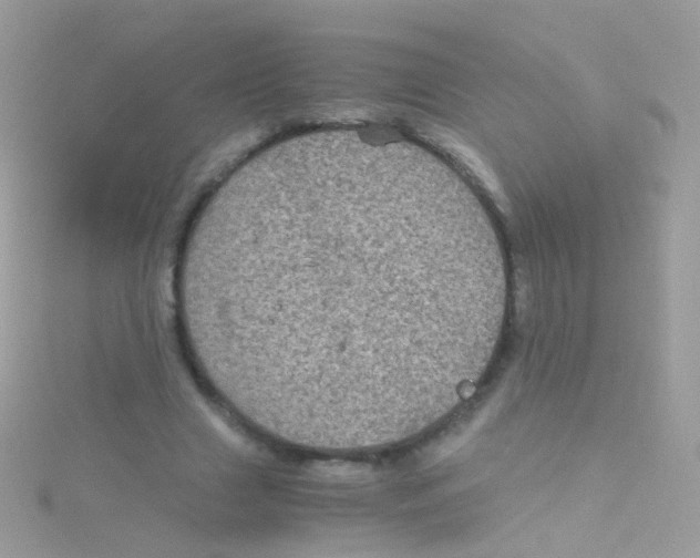 X0000115060633200911231215