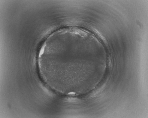 X0000115060637200911231215