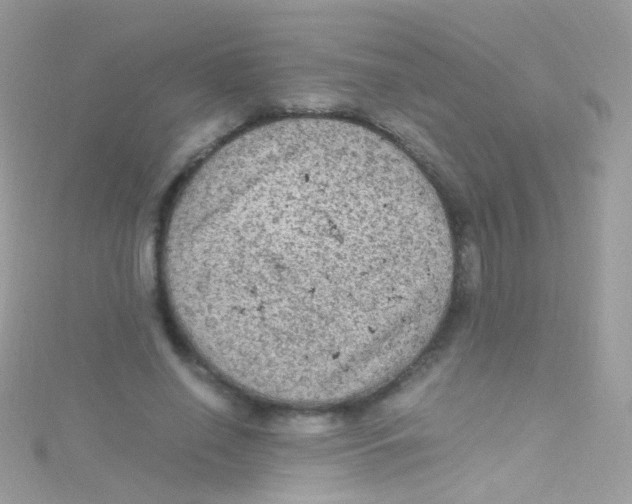 X0000115060638200911231215