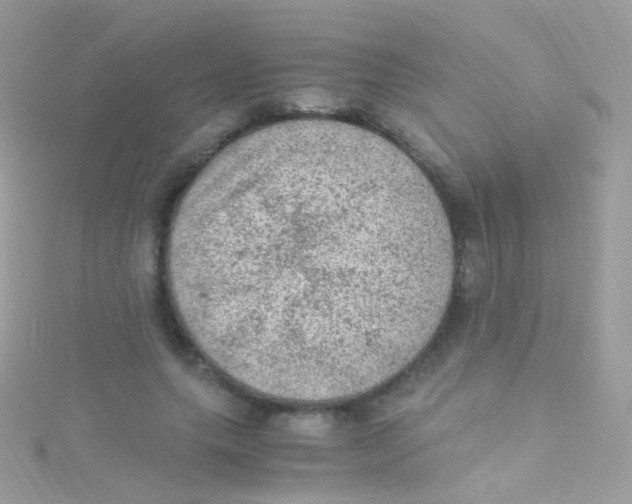 X0000115060639200911231215