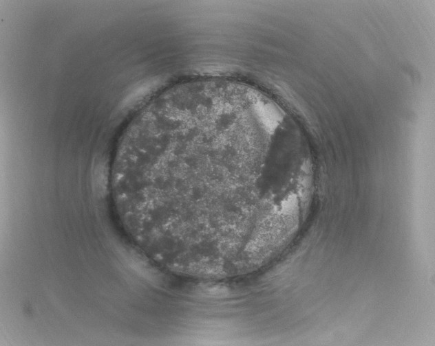 X0000115060640200911231215