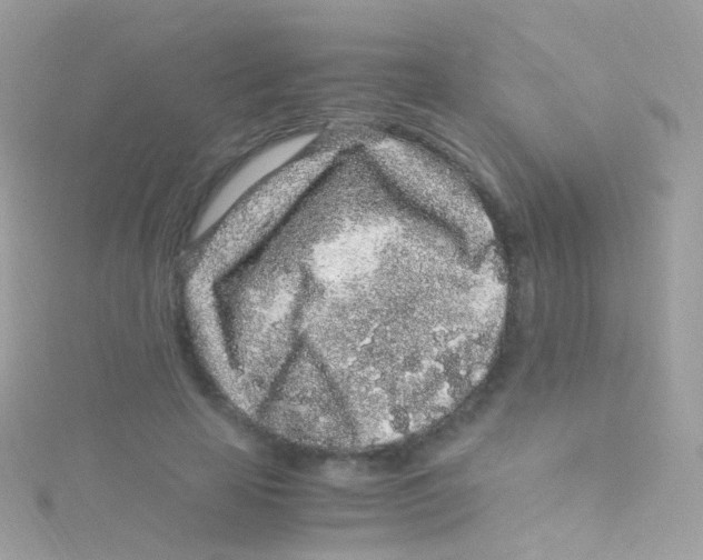 X0000115060641200911231215