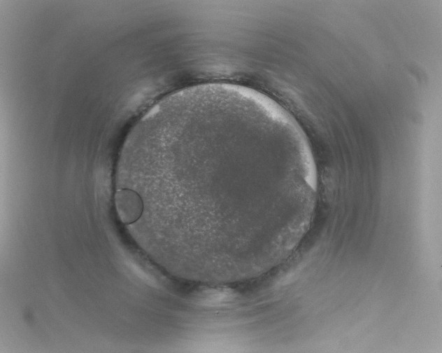 X0000115060642200911231215