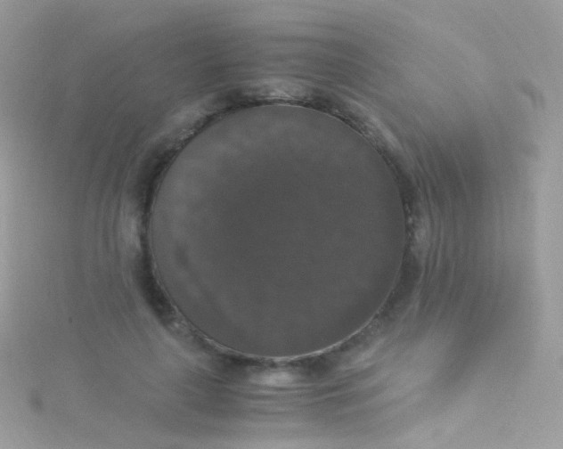 X0000115060643200911231215